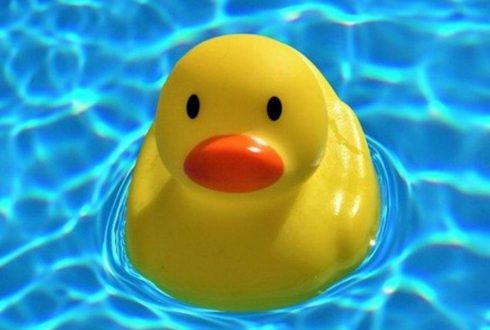 כיסוי ביטוחי לבריכות שחייה פרטיות כיסוי ביטוחי לבריכות שחייה פרטיות